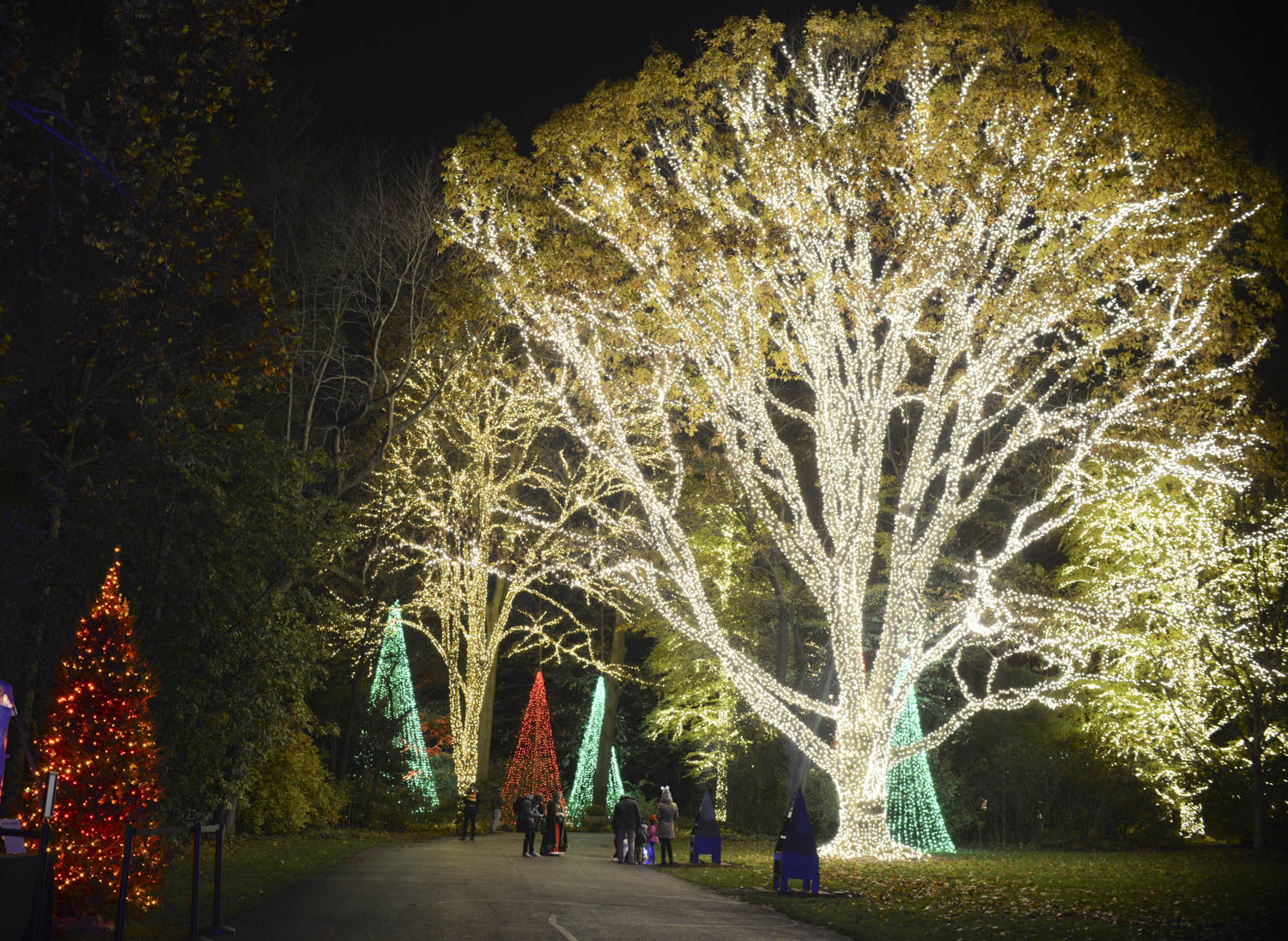 Winterlights09.jpg